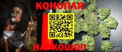 молекула духа Новокубанск