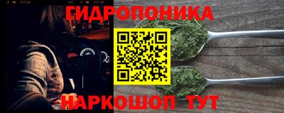 spice Новодвинск