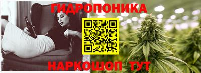 spice Новодвинск