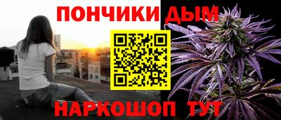 шишки Новозыбков