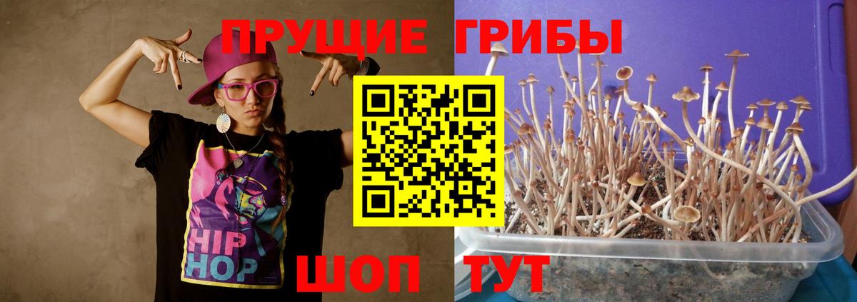 Рославль  Псилоцибиновые грибы GOLDEN TEACHER  Вход с VPN 